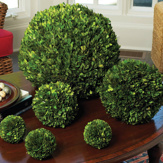 Boxwood Ball 4"