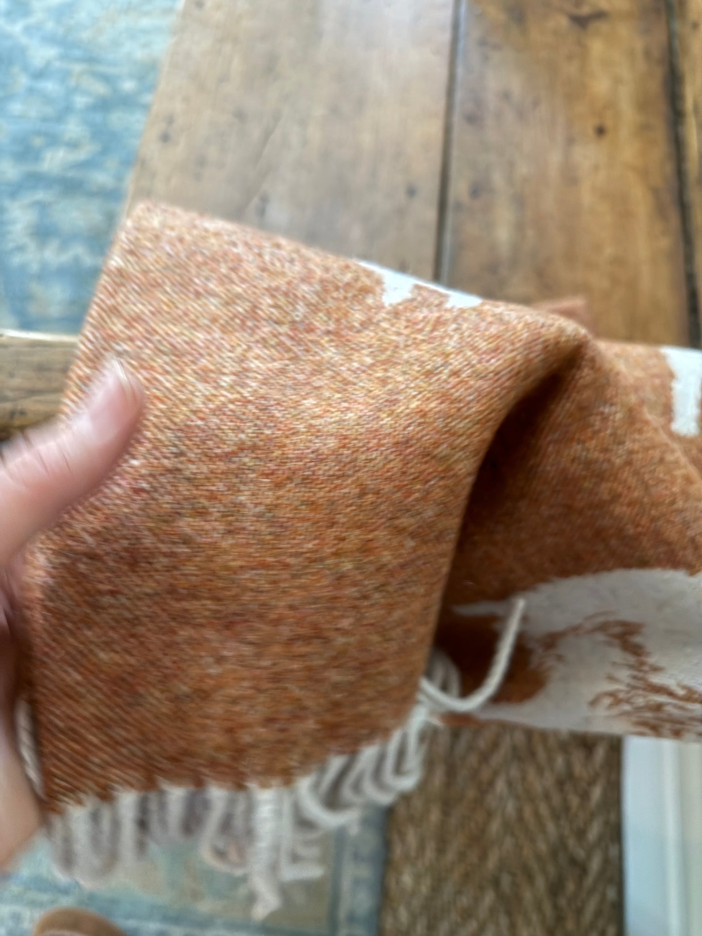 Highland Cow Wool Throw