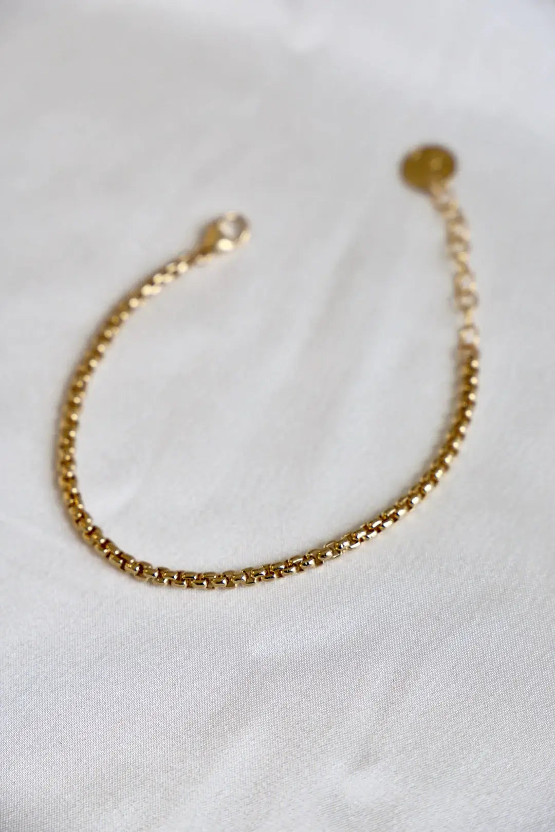 Holland Gold Box Chain Bracelet