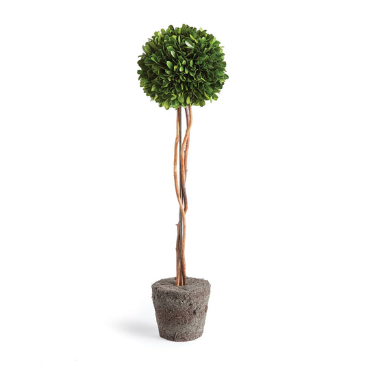 Single Topiary Drop-In 24"