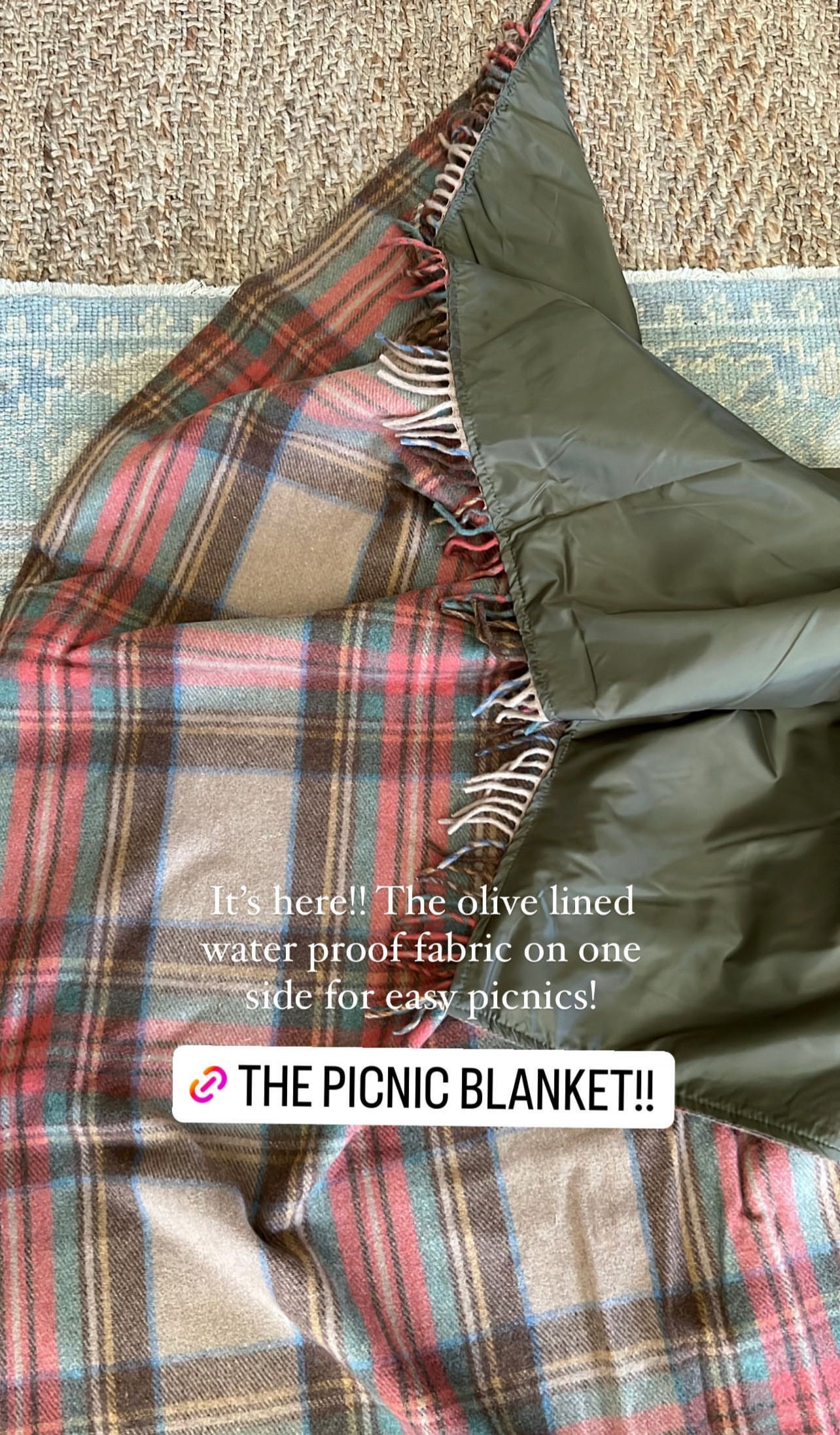 Picnic Blanket: Antique Dress Stewart