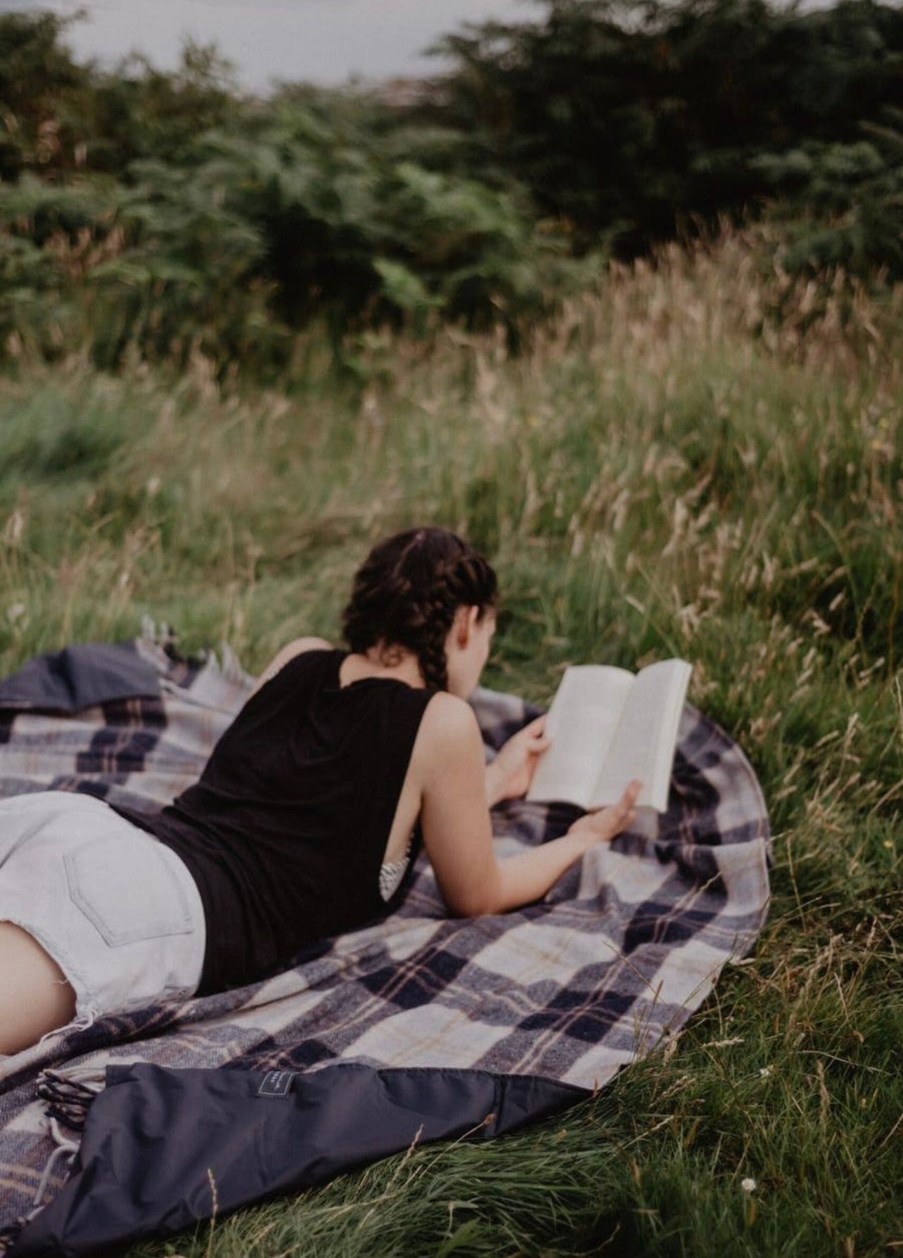 Picnic Blanket: Antique Dress Stewart