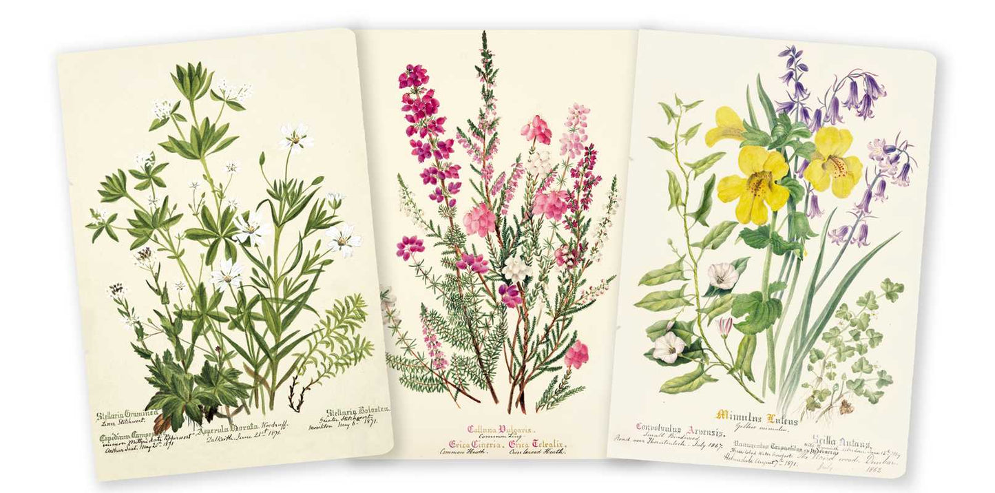 Royal Botanical Notebooks