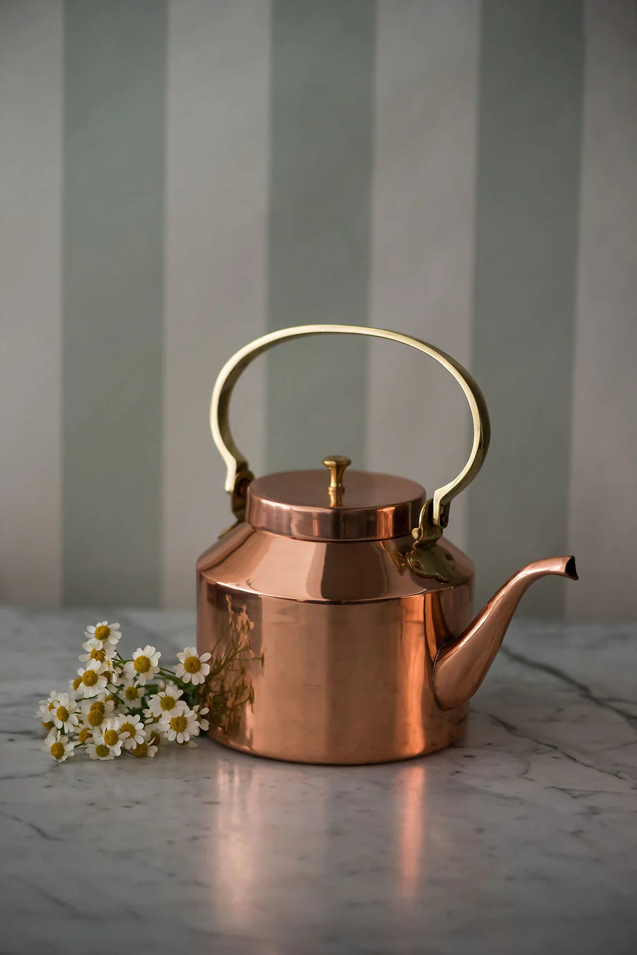 Vintage Copper shops Kettle Made in Portugal.