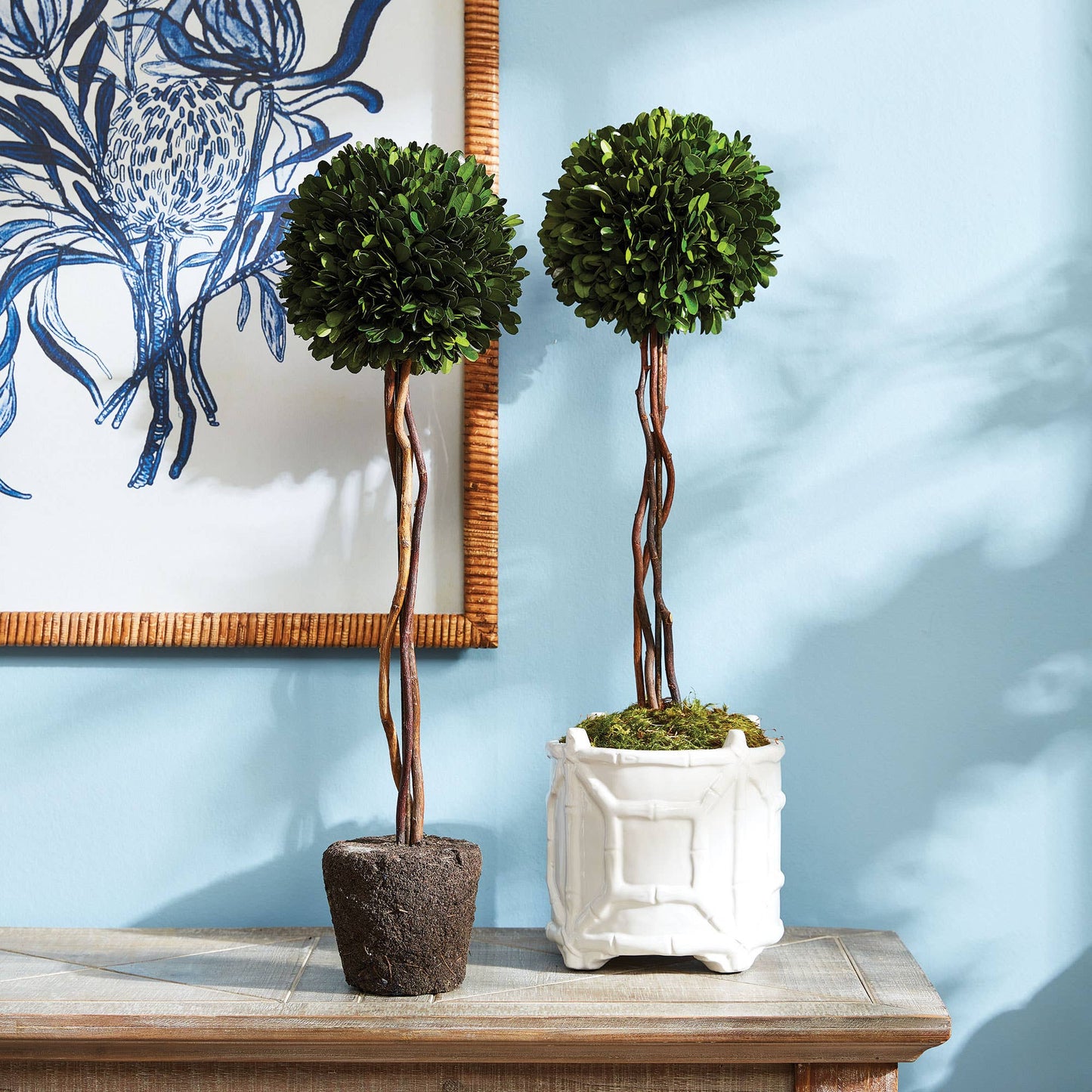 Single Topiary Drop-In 24"
