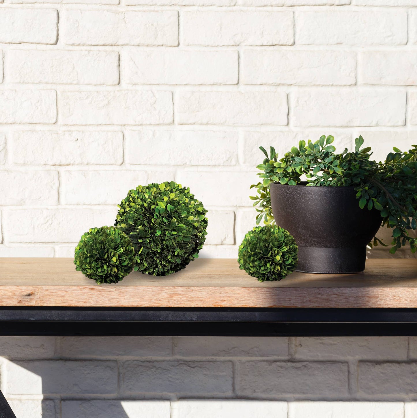 Boxwood Ball 4"