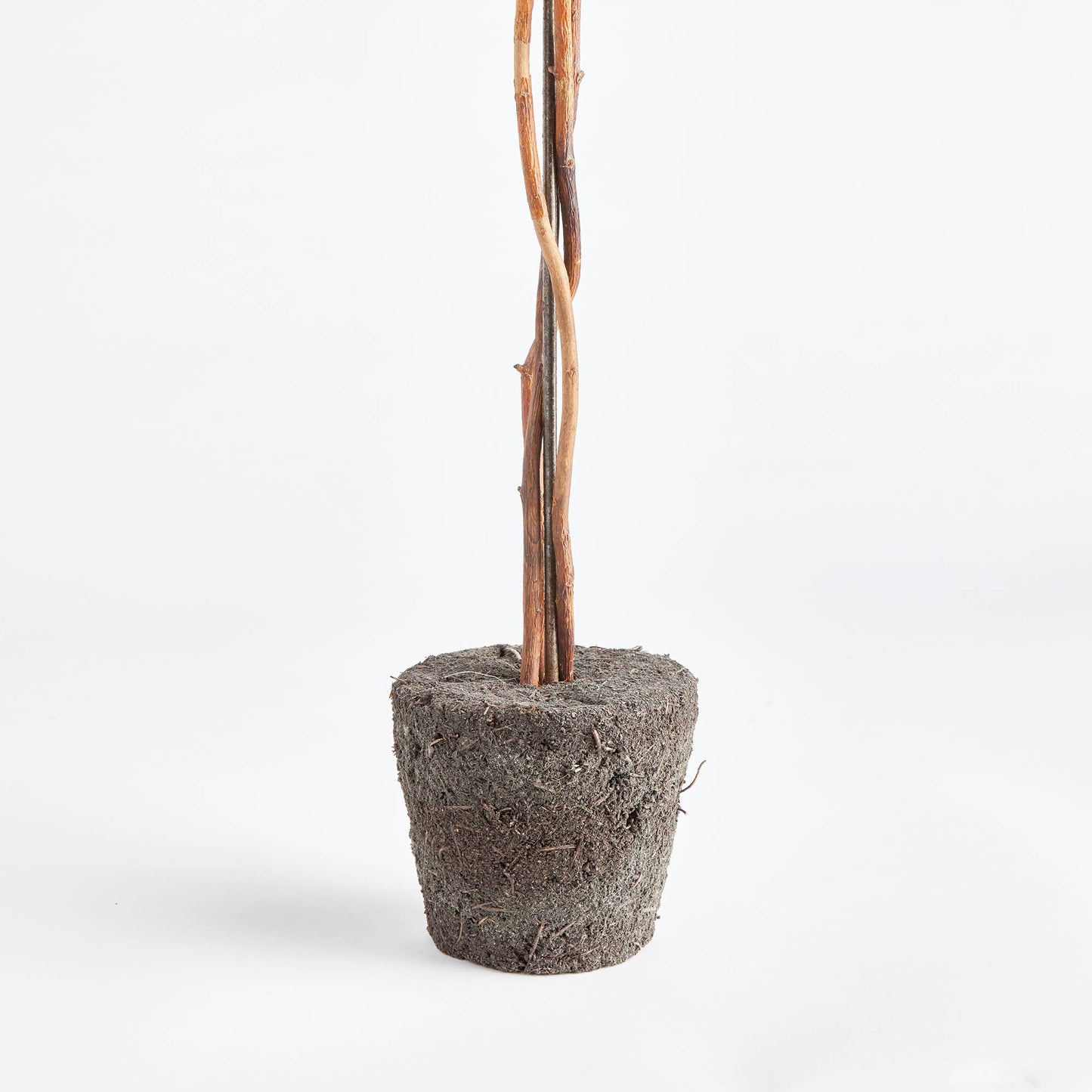 Single Topiary Drop-In 24"