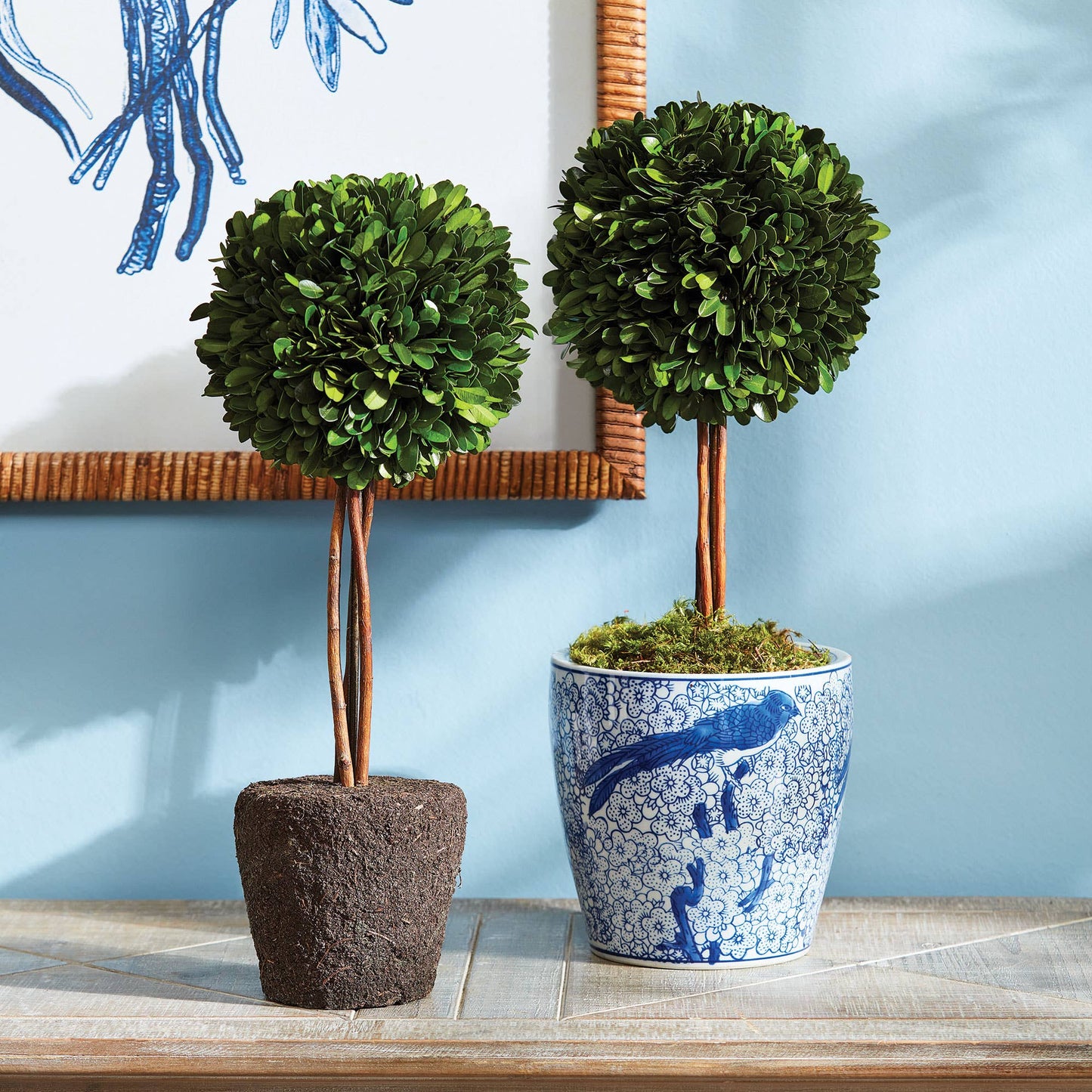 Single Topiary Drop-In 16"