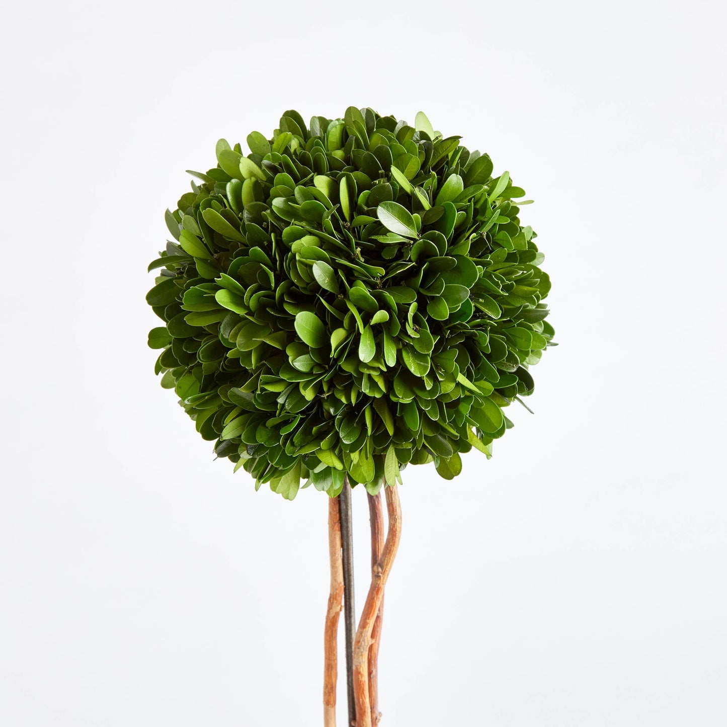 Single Topiary Drop-In 24"