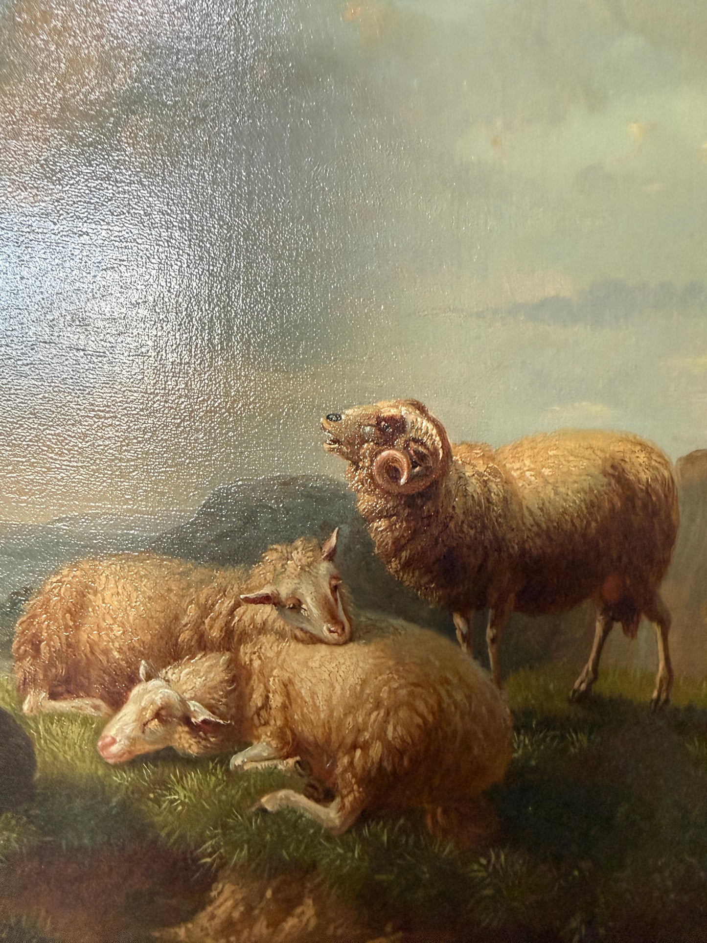 Sheep & Boy by the Sea Oil Painting