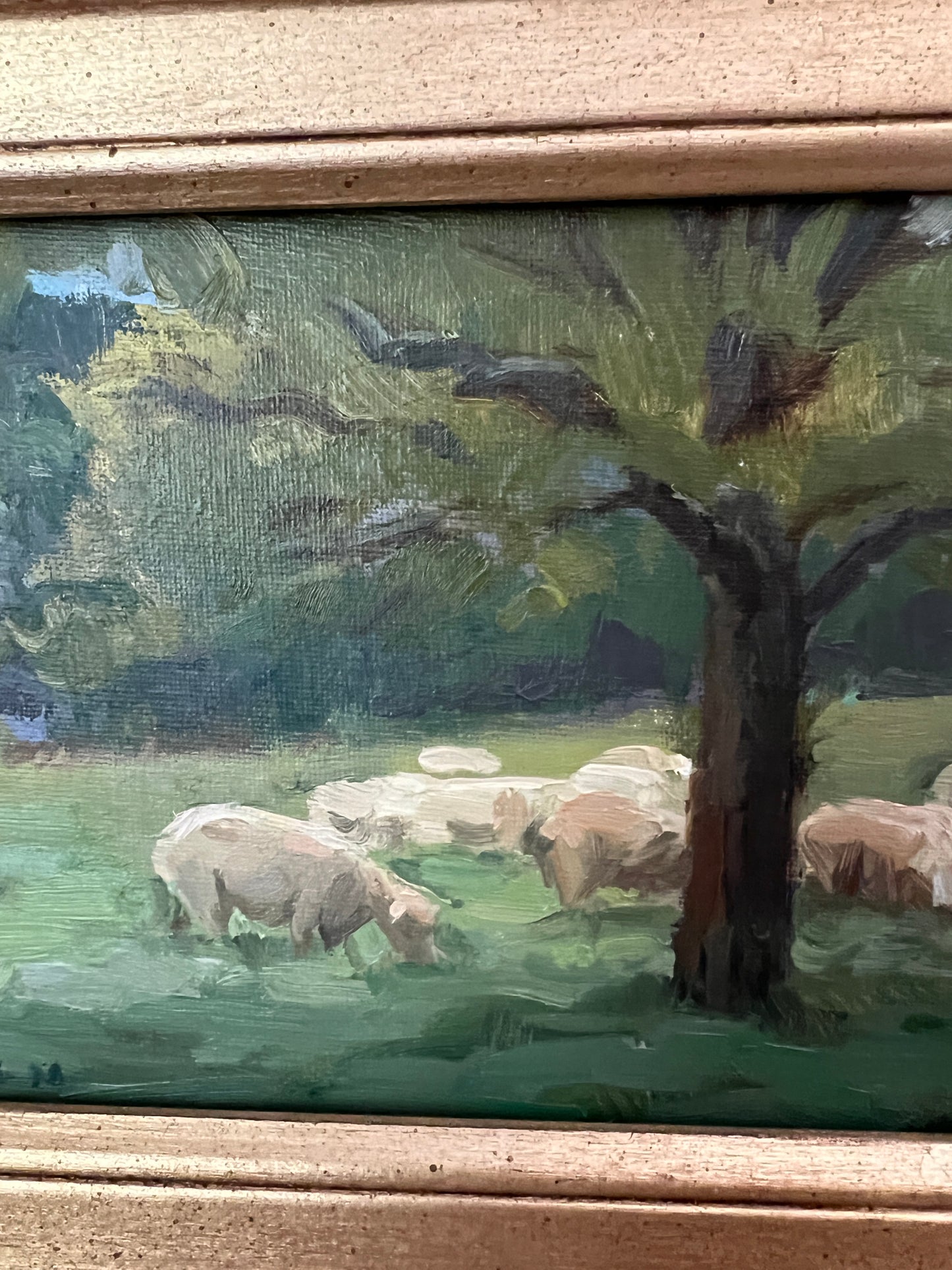 “The Cornish Herd” Study