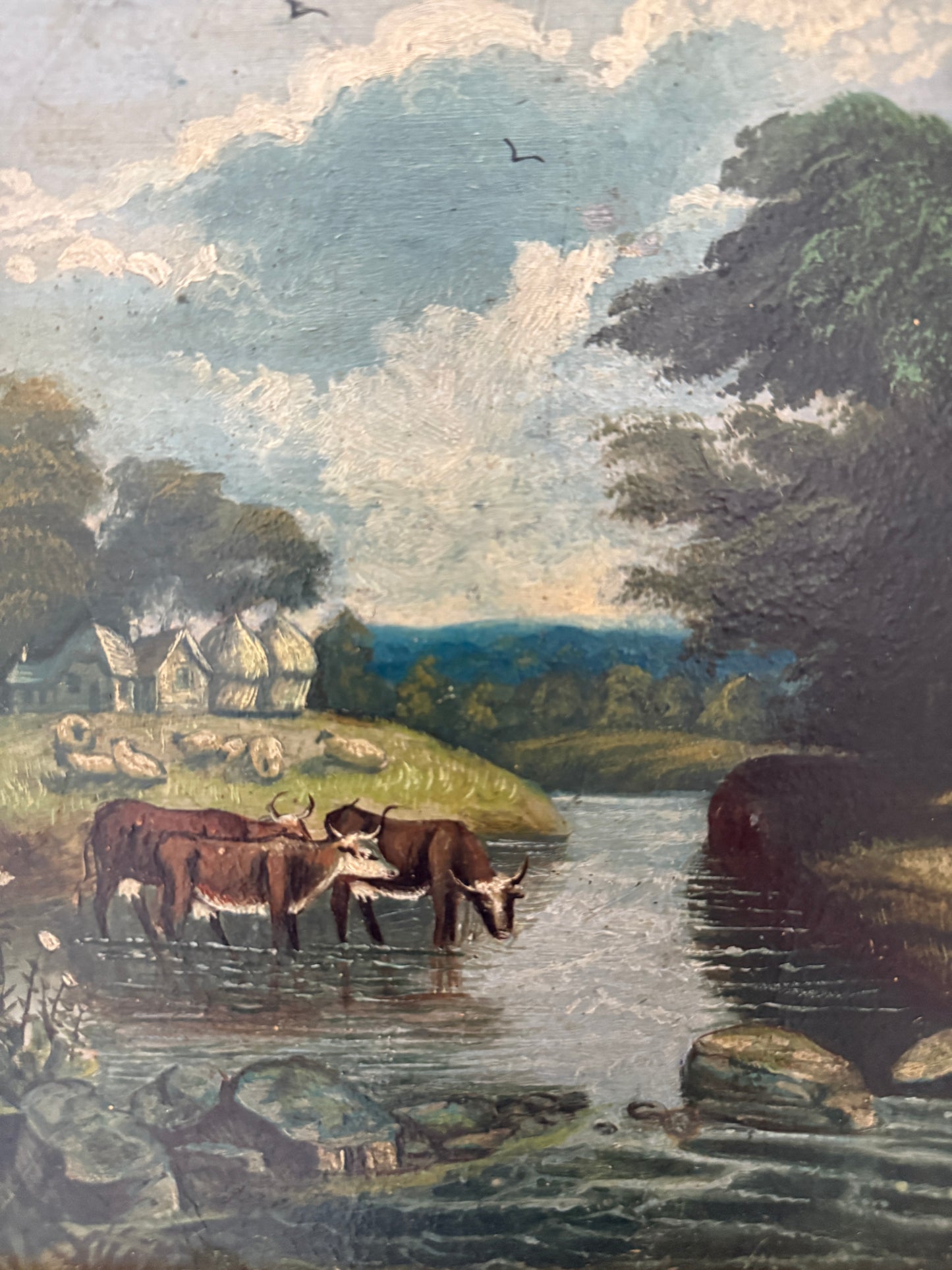 Watering Cattle