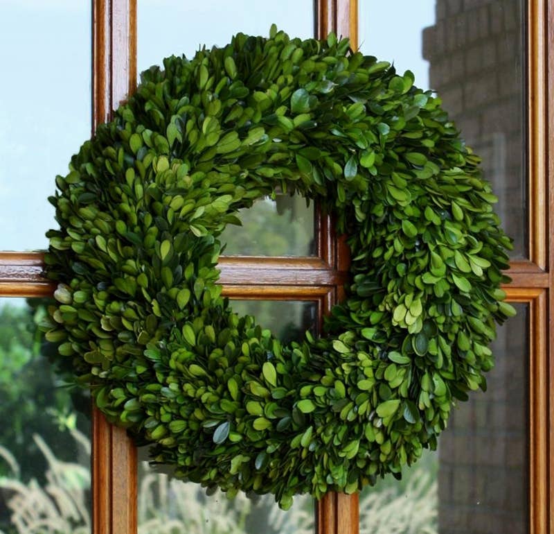 Preserved Boxwood Wreath 16 Inch