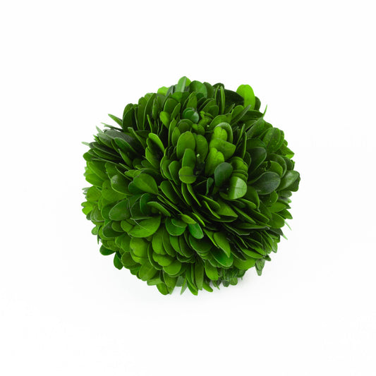 Preserved Boxwood Ball 4 Inch