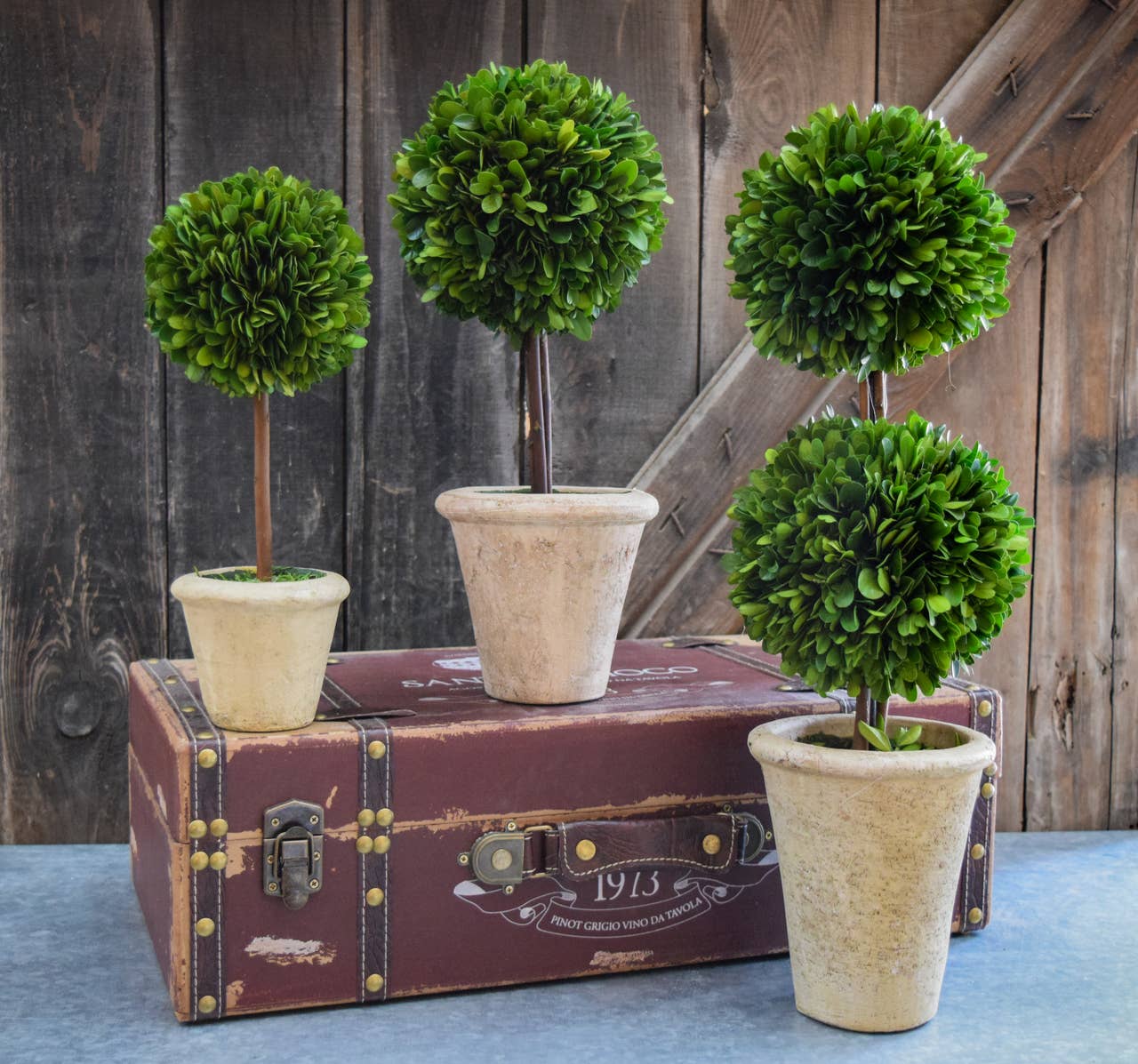 Preserved Boxwood Topiary - 20” Double Ball
