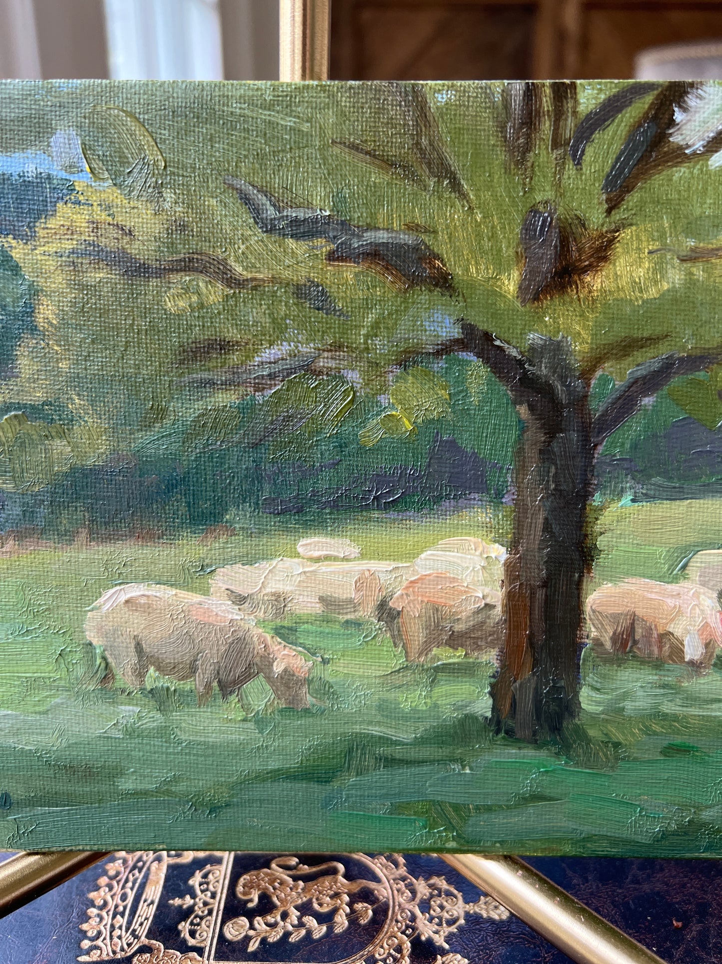 “The Cornish Herd” Study