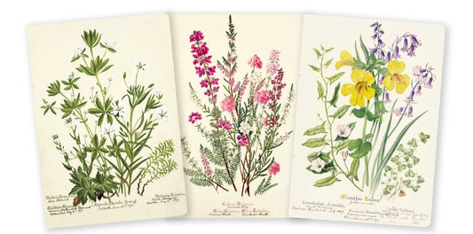 Royal Botanical Notebooks