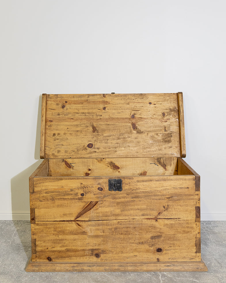Vintage Pine Trunk