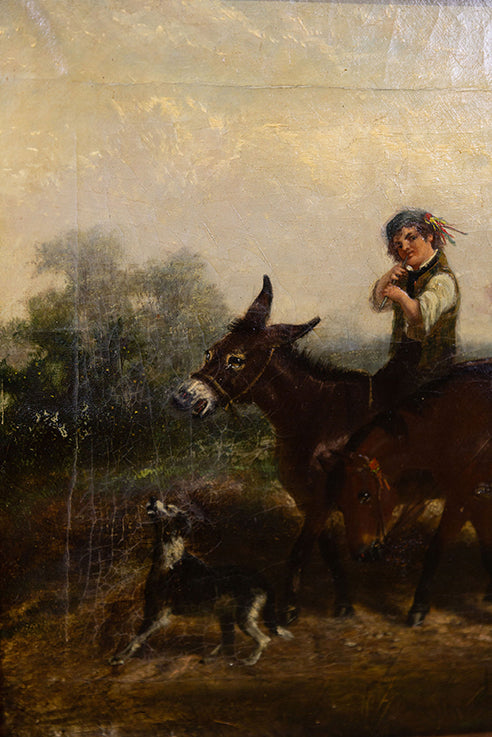 Journey with the Donkeys