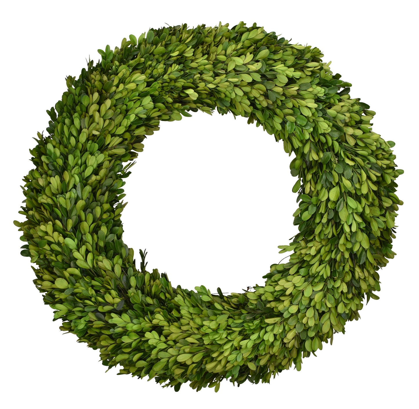 Preserved Boxwood Country Manor Wreath 20 Inch