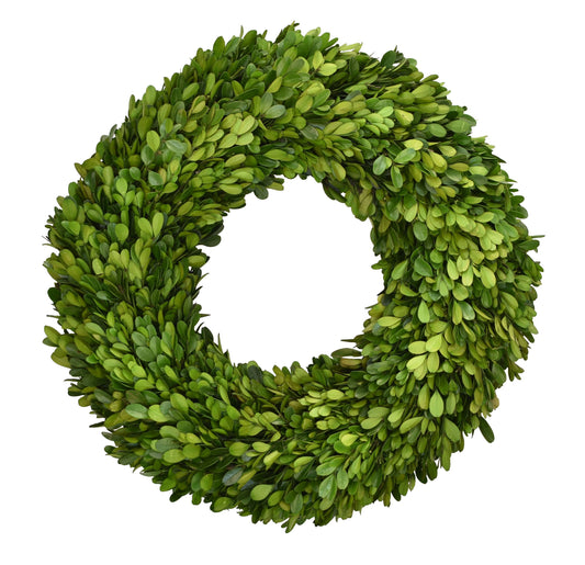 Preserved Boxwood Wreath 16 Inch