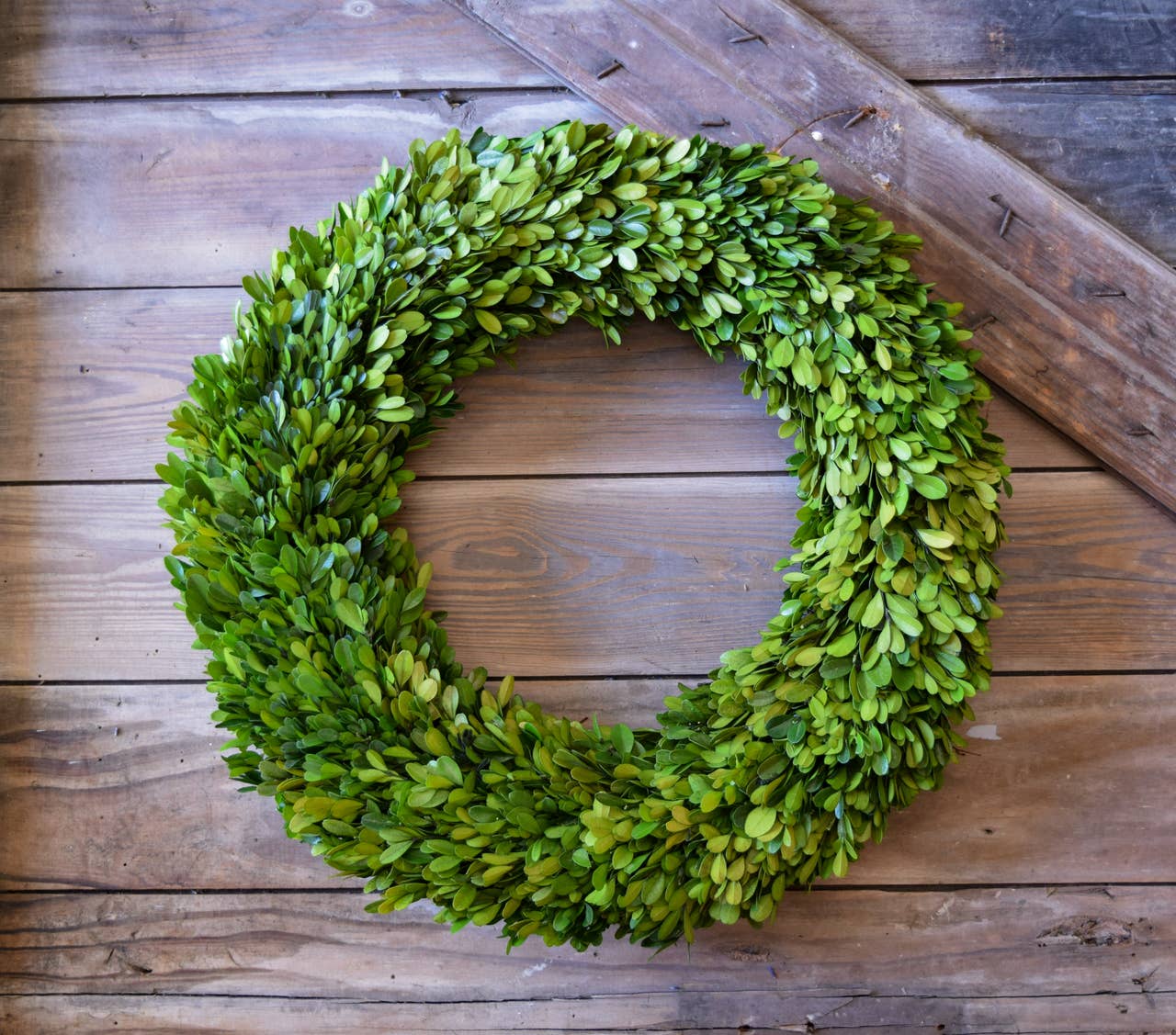 Preserved Boxwood Country Manor Wreath 20 Inch