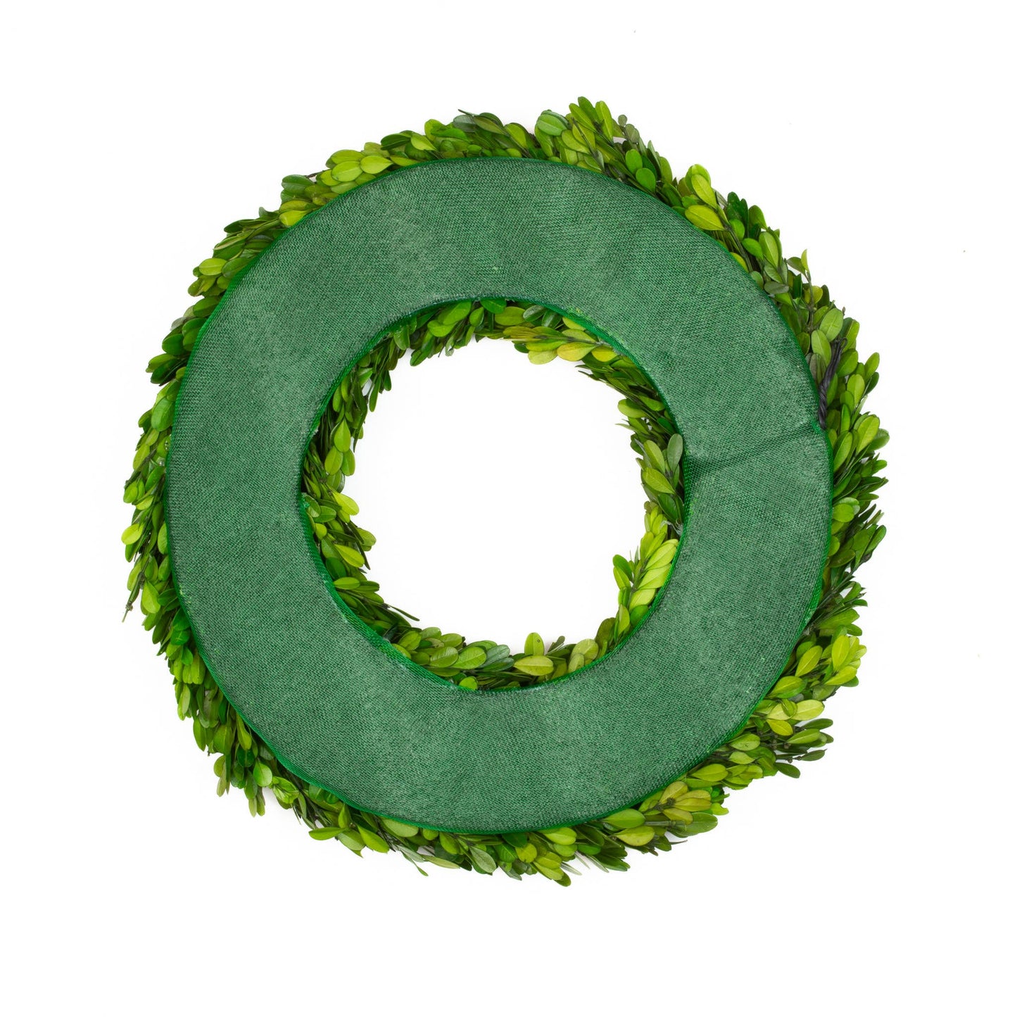 Preserved Boxwood Wreath 16 Inch