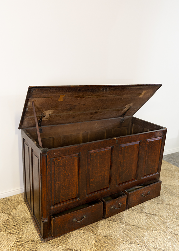 Mule Chest Sideboard 18th